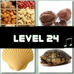 Level 24 (4 Pics 1 Song)