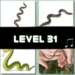 Level 31 (4 Pics 1 Song)